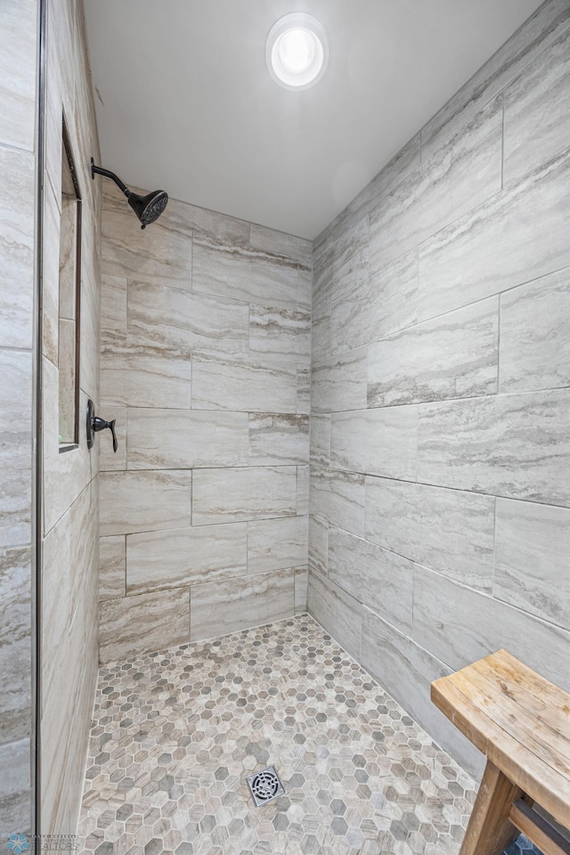 6028 Silverleaf Dr S, Fargo, ND 58104 - bathroom with tiled shower