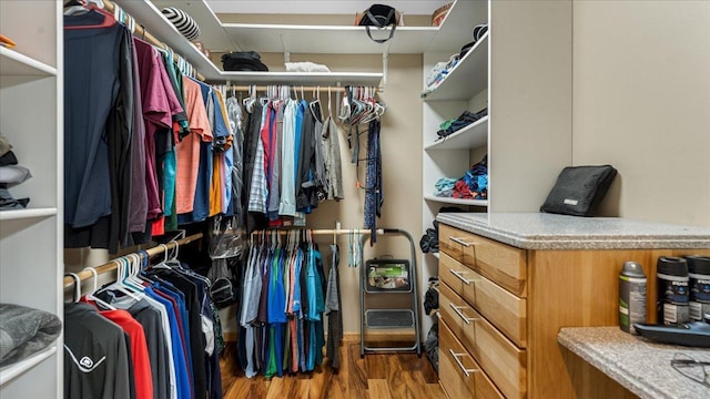 21151 150th St, Sauk Centre, MN 56378 - walk in closet with wood finished floors