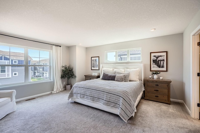13665 Marsh View Trl, Rogers, MN 55374 - bedroom with visible vents, carpet, and multiple windows