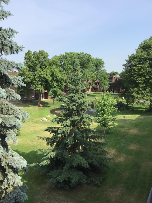 2220 Midland Grove Rd Unit 307, Roseville, MN 55113 - view of yard