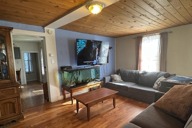 24 3rd Ave S, Sauk Rapids, MN 56379 - living room featuring wood finished floors and wood ceiling