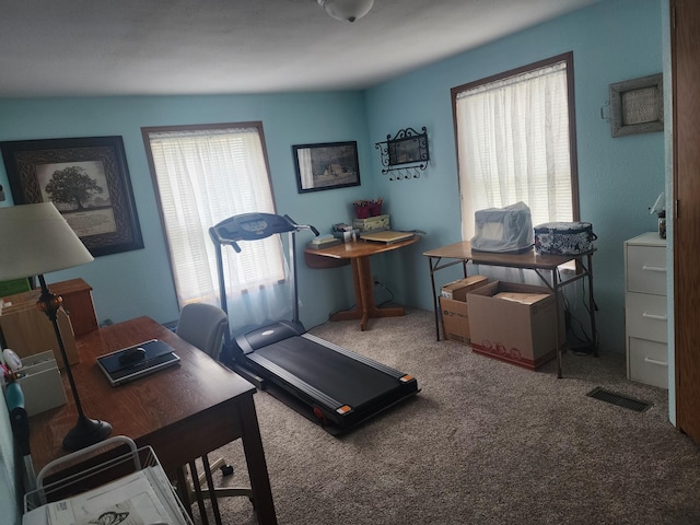 carpeted office space with visible vents and plenty of natural light