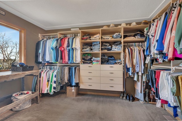 10283 Ferry Point Pl NW, Rice, MN 56367 - spacious closet featuring carpet flooring