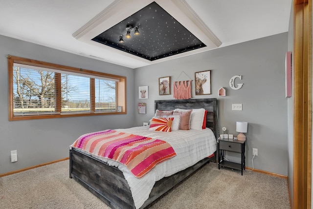 10283 Ferry Point Pl NW, Rice, MN 56367 - carpeted bedroom featuring baseboards and a raised ceiling