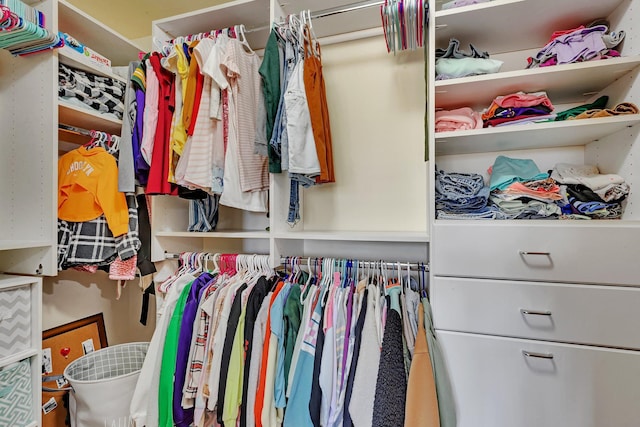 10283 Ferry Point Pl NW, Rice, MN 56367 - view of walk in closet