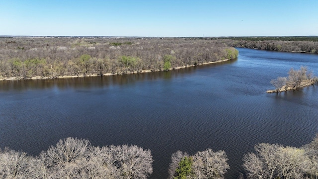 10283 Ferry Point Pl NW, Rice, MN 56367 - view of water feature featuring a view of trees