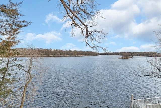 10283 Ferry Point Pl NW, Rice, MN 56367 - water view
