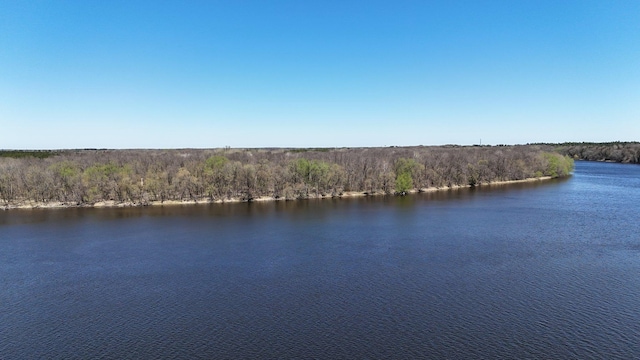 10283 Ferry Point Pl NW, Rice, MN 56367 - view of water feature featuring a wooded view