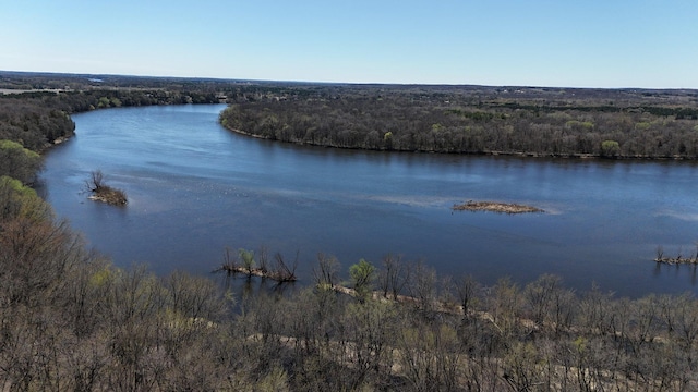 10283 Ferry Point Pl NW, Rice, MN 56367 - view of water feature with a forest view