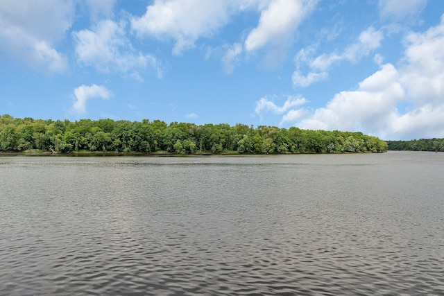 10283 Ferry Point Pl NW, Rice, MN 56367 - water view featuring a heavily wooded area
