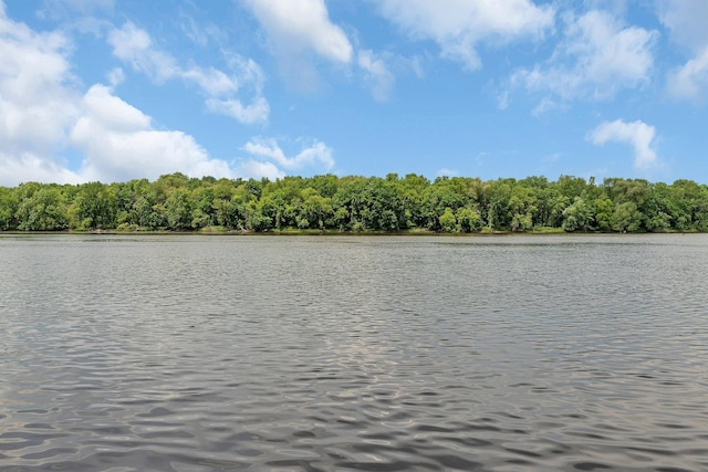 10283 Ferry Point Pl NW, Rice, MN 56367 - water view featuring a heavily wooded area