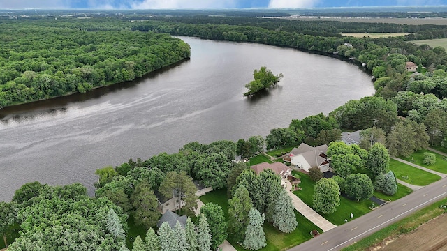 10283 Ferry Point Pl NW, Rice, MN 56367 - bird's eye view of a nearby body of water and a forest