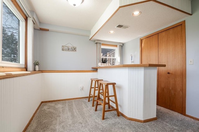 bar featuring a wainscoted wall, a dry bar, carpet, and visible vents