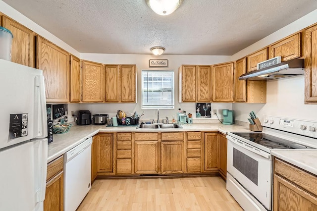 kitchen with a sink, white appliances, a textured ceiling, light wood-type flooring, and under cabinet range hood