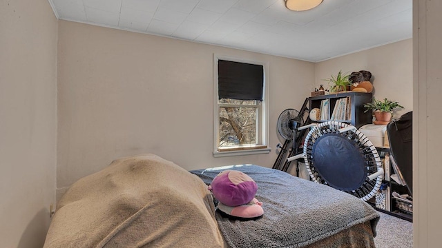 bedroom featuring ornamental molding