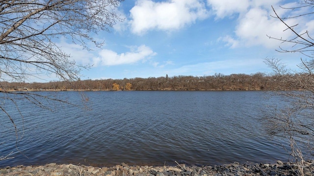 property view of water