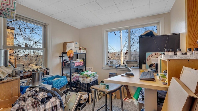 629 5th Ave N, Saint Cloud, MN 56303 - office with plenty of natural light