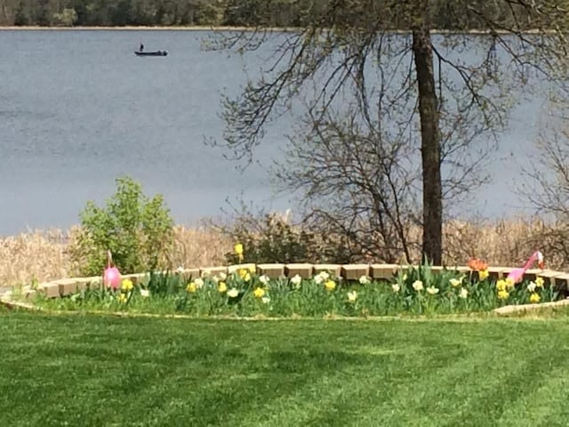 5795 Otter Lake Rd, White Bear Twp, MN 55110 - view of grassy yard