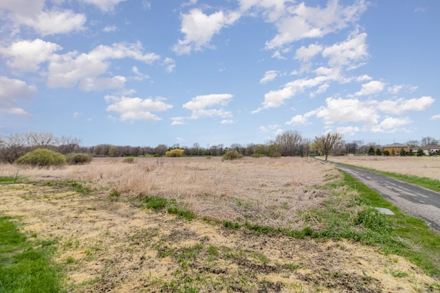 1006 9th Street Ct SE, New Prague, MN 56071 - view of undeveloped land with rural landscape