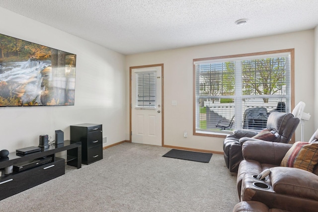 5085 149th St N # 3, Hugo, MN 55038 - living area featuring carpet flooring, a textured ceiling, and baseboards