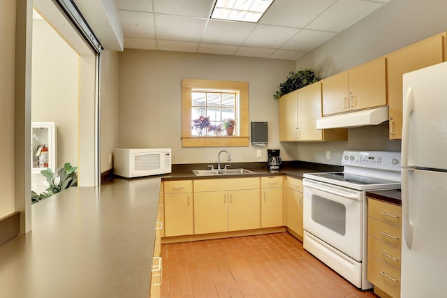 5085 149th St N # 3, Hugo, MN 55038 - kitchen with white appliances, a sink, under cabinet range hood, a drop ceiling, and dark countertops