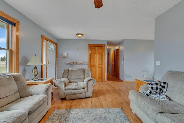 living room featuring plenty of natural light and light wood-style flooring