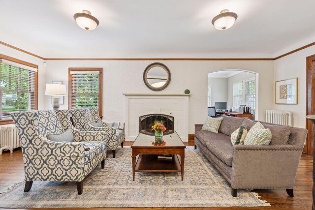 1722 Pinehurst Ave, Saint Paul, MN 55116 - living room featuring radiator, arched walkways, wood finished floors, crown molding, and a fireplace