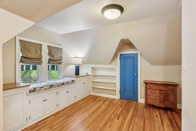 1722 Pinehurst Ave, Saint Paul, MN 55116 - bonus room with light wood-style floors and lofted ceiling