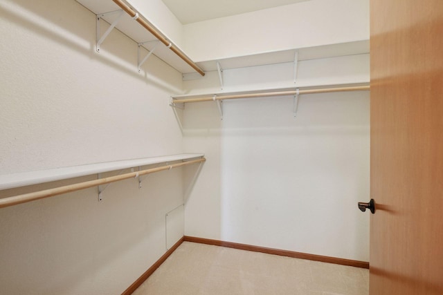 7100 Metro Blvd Unit 401, Edina, MN 55439 - walk in closet featuring light colored carpet