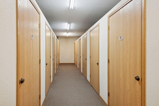 7100 Metro Blvd Unit 401, Edina, MN 55439 - hall featuring light colored carpet