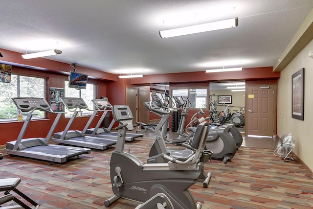 7100 Metro Blvd Unit 401, Edina, MN 55439 - gym featuring carpet and a healthy amount of sunlight