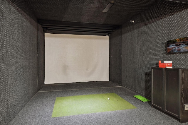 7100 Metro Blvd Unit 401, Edina, MN 55439 - playroom featuring carpet floors and golf simulator