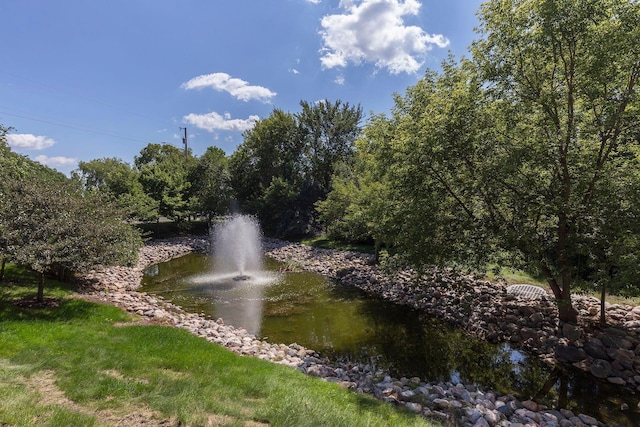 7100 Metro Blvd Unit 401, Edina, MN 55439 - view of water feature