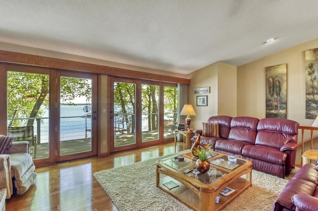 21005 County Highway 32, Rochert, MN 56578 - living room featuring wood-type flooring and lofted ceiling