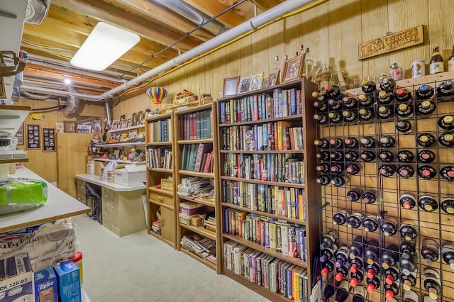 21005 County Highway 32, Rochert, MN 56578 - basement with wooden walls and carpet