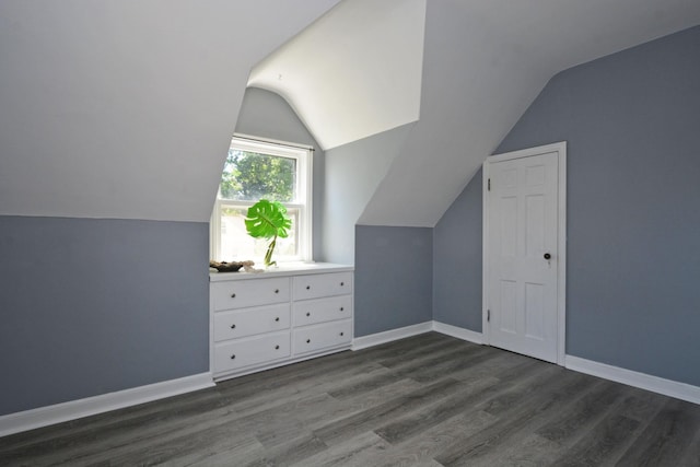 75 Geranium Ave E, Saint Paul, MN 55117 - additional living space with vaulted ceiling and dark wood-type flooring