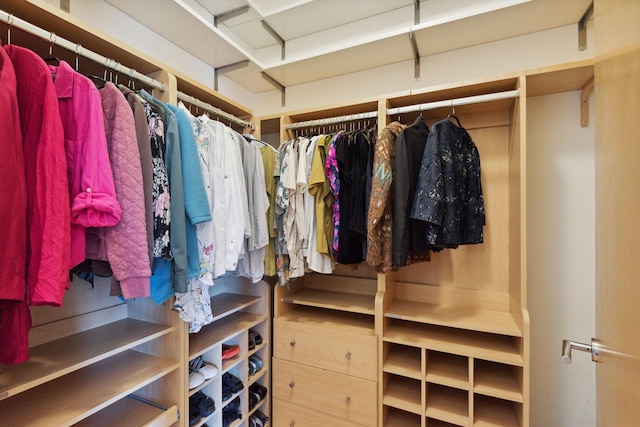 490 Temperance St Unit 403, Saint Paul, MN 55101 - view of spacious closet