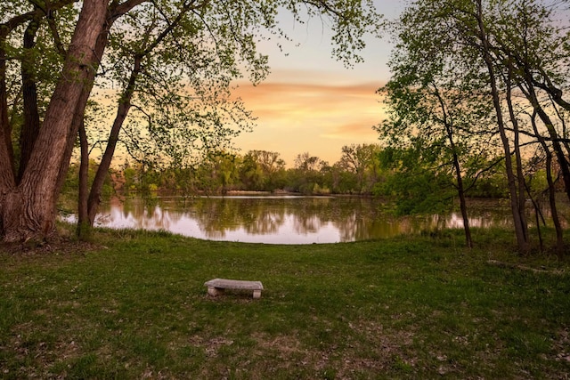 4618 Cedarwood Rd, Saint Louis Park, MN 55416 - water view