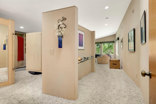4618 Cedarwood Rd, Saint Louis Park, MN 55416 - hall with carpet and recessed lighting