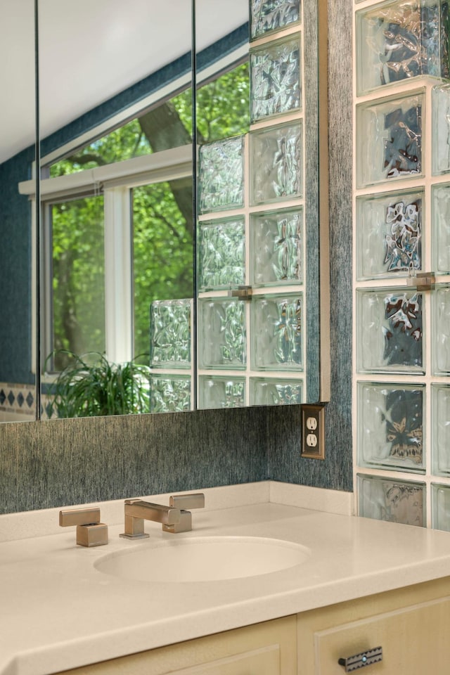 4618 Cedarwood Rd, Saint Louis Park, MN 55416 - bathroom featuring vanity