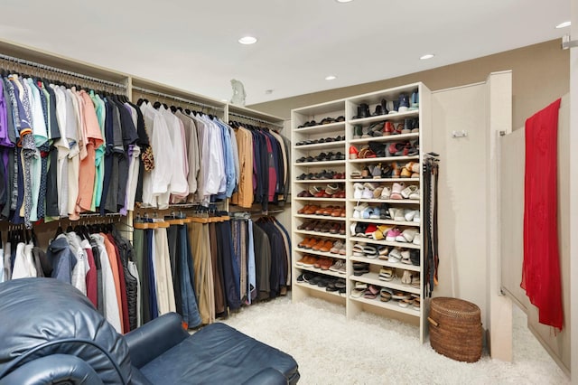 4618 Cedarwood Rd, Saint Louis Park, MN 55416 - walk in closet featuring carpet floors
