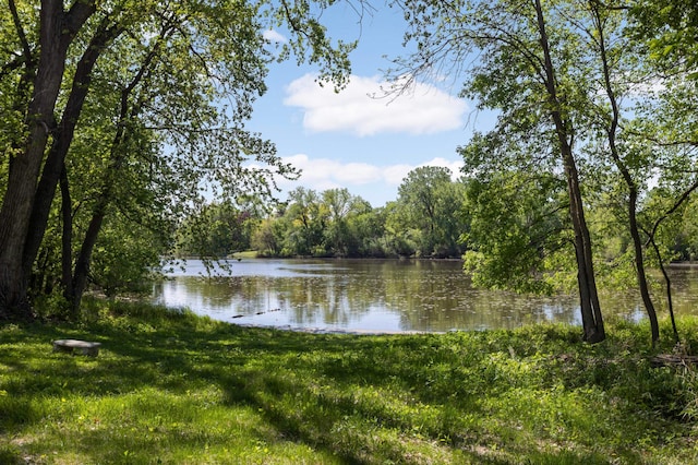 4618 Cedarwood Rd, Saint Louis Park, MN 55416 - water view with a forest