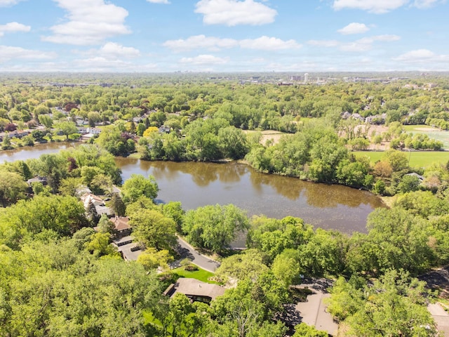 4618 Cedarwood Rd, Saint Louis Park, MN 55416 - aerial view of a large body of water