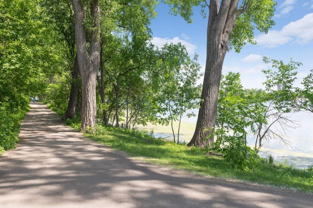 4618 Cedarwood Rd, Saint Louis Park, MN 55416 - view of home's community