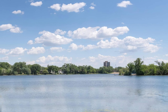 4618 Cedarwood Rd, Saint Louis Park, MN 55416 - water view