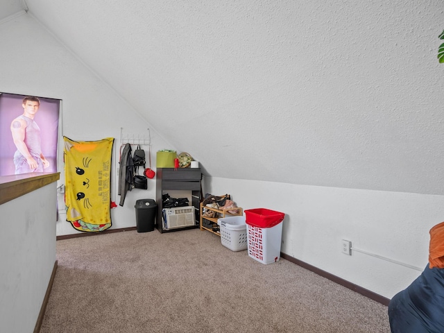 3213 Minnehaha Ave, Minneapolis, MN 55406 - bonus room with vaulted ceiling, carpet flooring, a textured ceiling, and baseboards