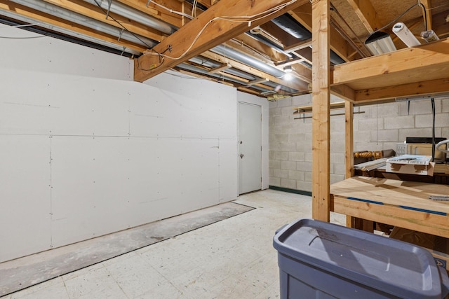 unfinished basement with concrete block wall