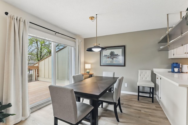 dining room featuring baseboards, a baseboard heating unit, and light wood-style flooring