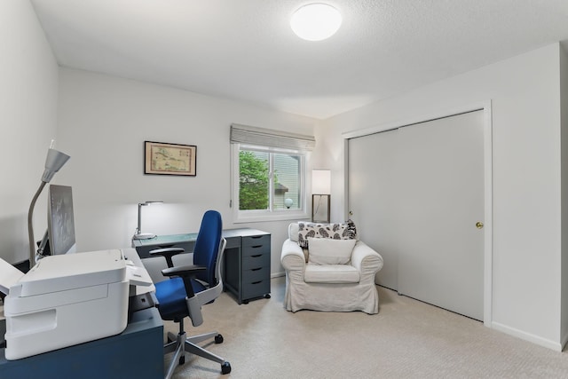 home office with carpet