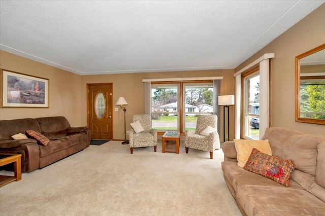 view of carpeted living area